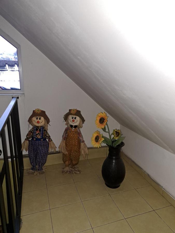 Hotel La Bibicu Agnita Esterno foto